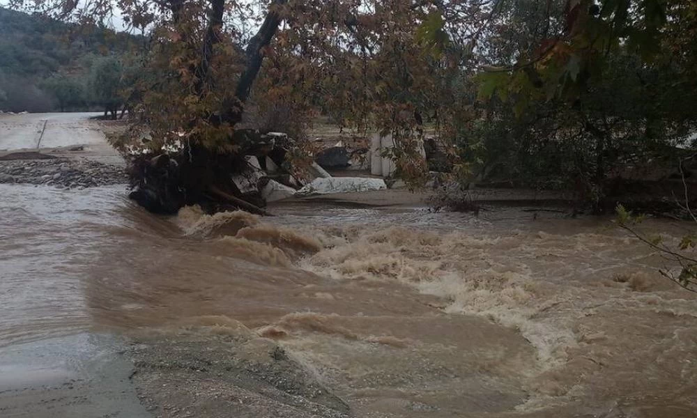 Κακοκαιρία "Θάλεια": Σαρώνει την Εύβοια με πλημμυρισμένα σπίτια και εγκλωβισμένους